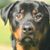 Bruce Meisner's profile image