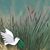 Mary Anne Miklosik's profile image