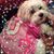 Stacey Brown's profile image