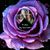 Karen Bryan's profile image