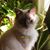 Suzanna Darby's profile image