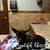 Sue Lietz's profile image