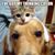 Debora Akcco Scatena's profile image