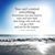 Nancy Koepp Zorica's profile image
