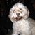 Jennifer Deprez's profile image