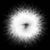 Scott Tewes's profile image