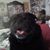Cheryl McKigney's profile image