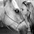 Athena Crenshaw's profile image