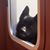 Francie Loughlin Bennett's profile image