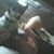 Tina Beebe's profile image