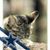 David Wetherby's profile image