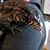 Kimberly Alpert's profile image
