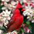 Cathy Burns's profile image
