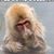 William E Lewis's profile image