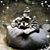 Sherri Watson Lonneman's profile image