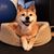 Keith Jedlicka's profile image