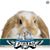 Judy Stark's profile image