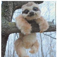 Dawn Kuper's profile image