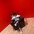 KL Mok's profile image