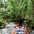 Cesar Rodrigo Campos Vasquez's profile image