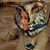 Angie Peterson's profile image