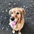 Aude Gandon's profile image