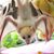 Lee Fithian's profile image