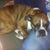 Patty Bedacht's profile image