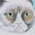 Dana Browne Spinney's profile image