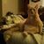 Shawn Arneson's profile image