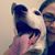Gretchen Molnar's profile image