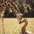Pam Fleming Butler's profile image