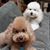 Andrea Latham's profile image