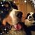 Nancy Moulton Thurlow's profile image