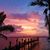 Lorraine Lynn Smith's profile image