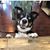Bev Jones Carpenter's profile image