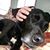 Shannon Ogden Boyd's profile image