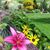 Kathy Pappenfuss's profile image