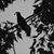 Kim Marie Mudd Veverka's profile image