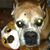 Penny Judd's profile image