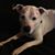 Connie McIntosh's profile image