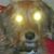Joe Weingart's profile image