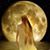 Kathleen Boylan's profile image