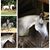 Olive Oill's profile image