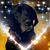Kimberly Snyder Bunnell's profile image