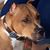 Denver Carter's profile image