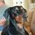 Jessica Campbell's profile image