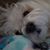 Leona Kowal's profile image