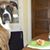 Frank Clementi's profile image