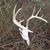 Daniel Jeffries's profile image